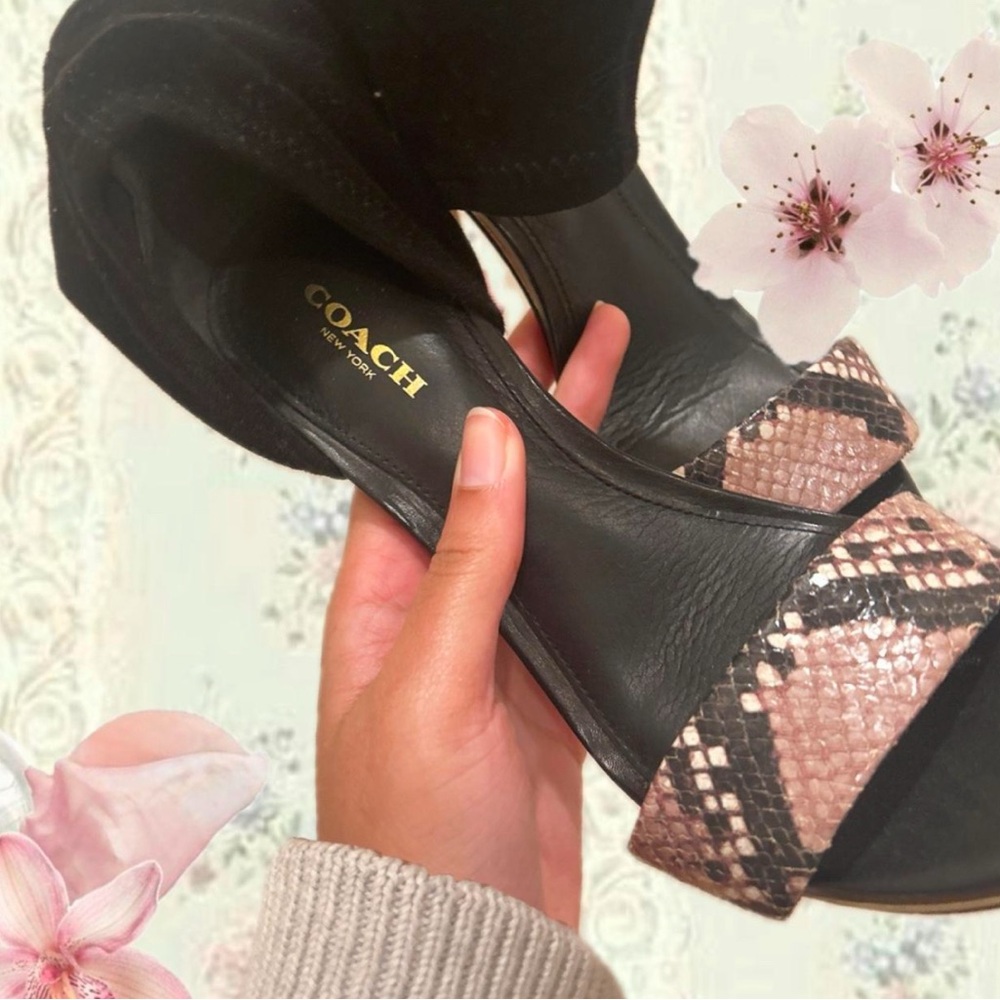 Coach Women's Black and Snakeskin Heels